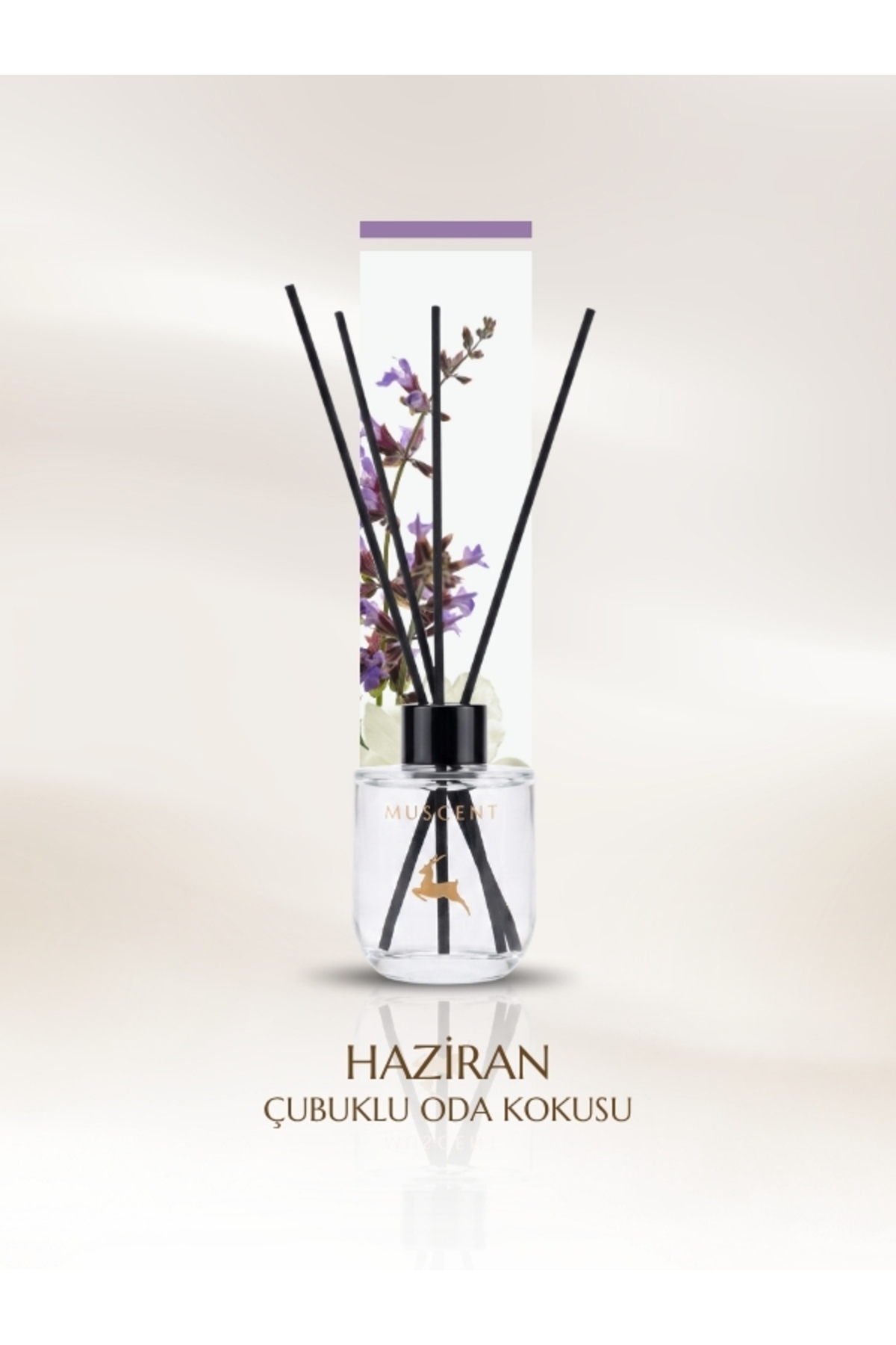 Reed Diffuser 100 ml