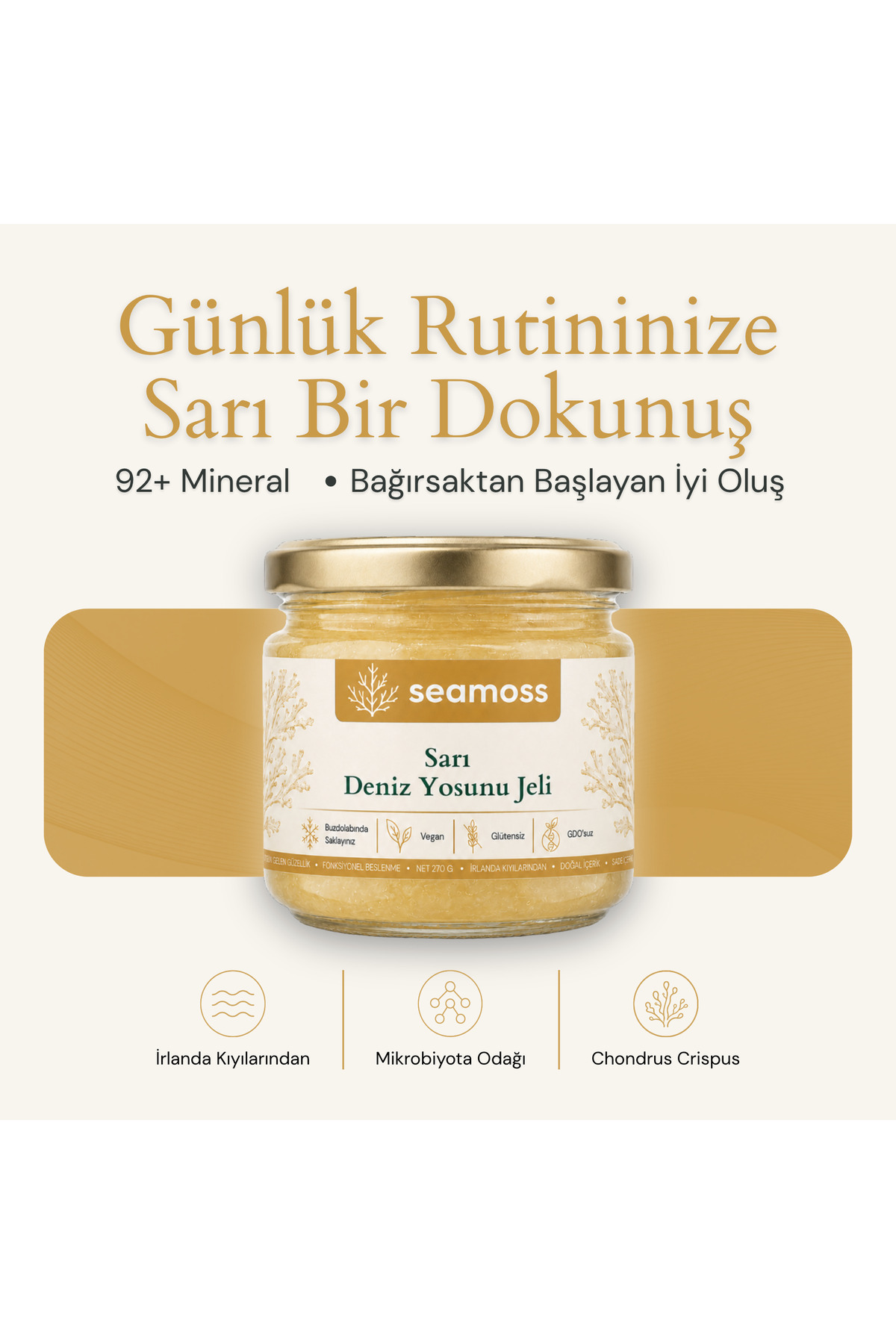SEAMOSS Luxury Boy Sarı Irlanda Deniz Yosunu Jeli 330ml - Sea Moss, Deniz Yosunu