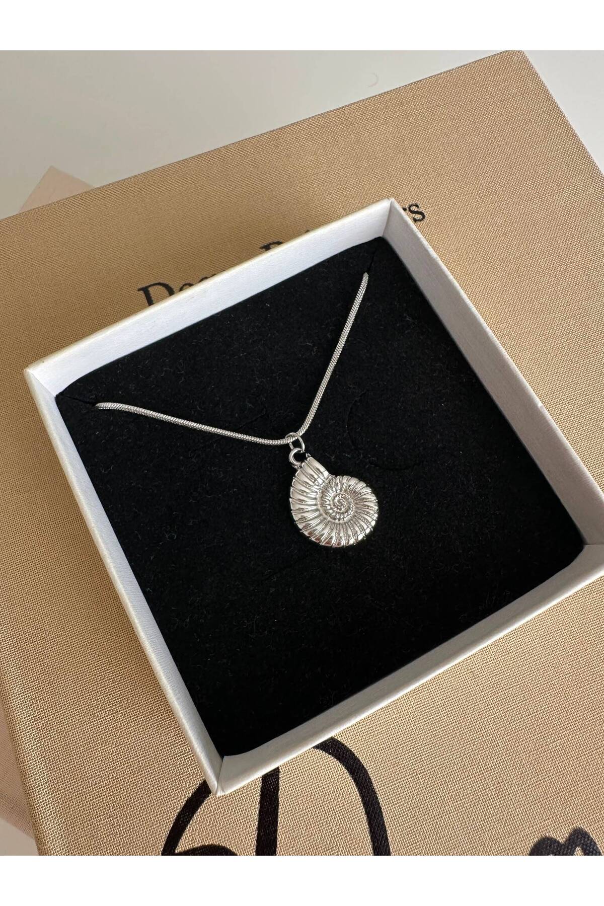 Deniz Kabuğu Charm Çelik Zincirli 45 cm Yazlık Gümüş Kolye - Detay Görseli 2