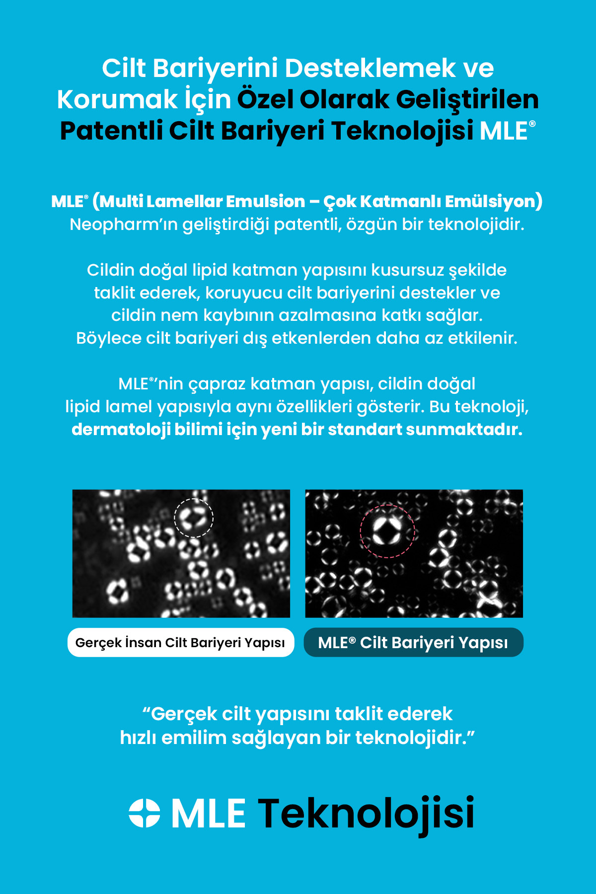 Cilt Çatlaklarına Karşı Bakım Sunan Nemlendirici Krem DERMA:B Stretch Mark Safe Cream — 9823 — تصویر 5 از 8