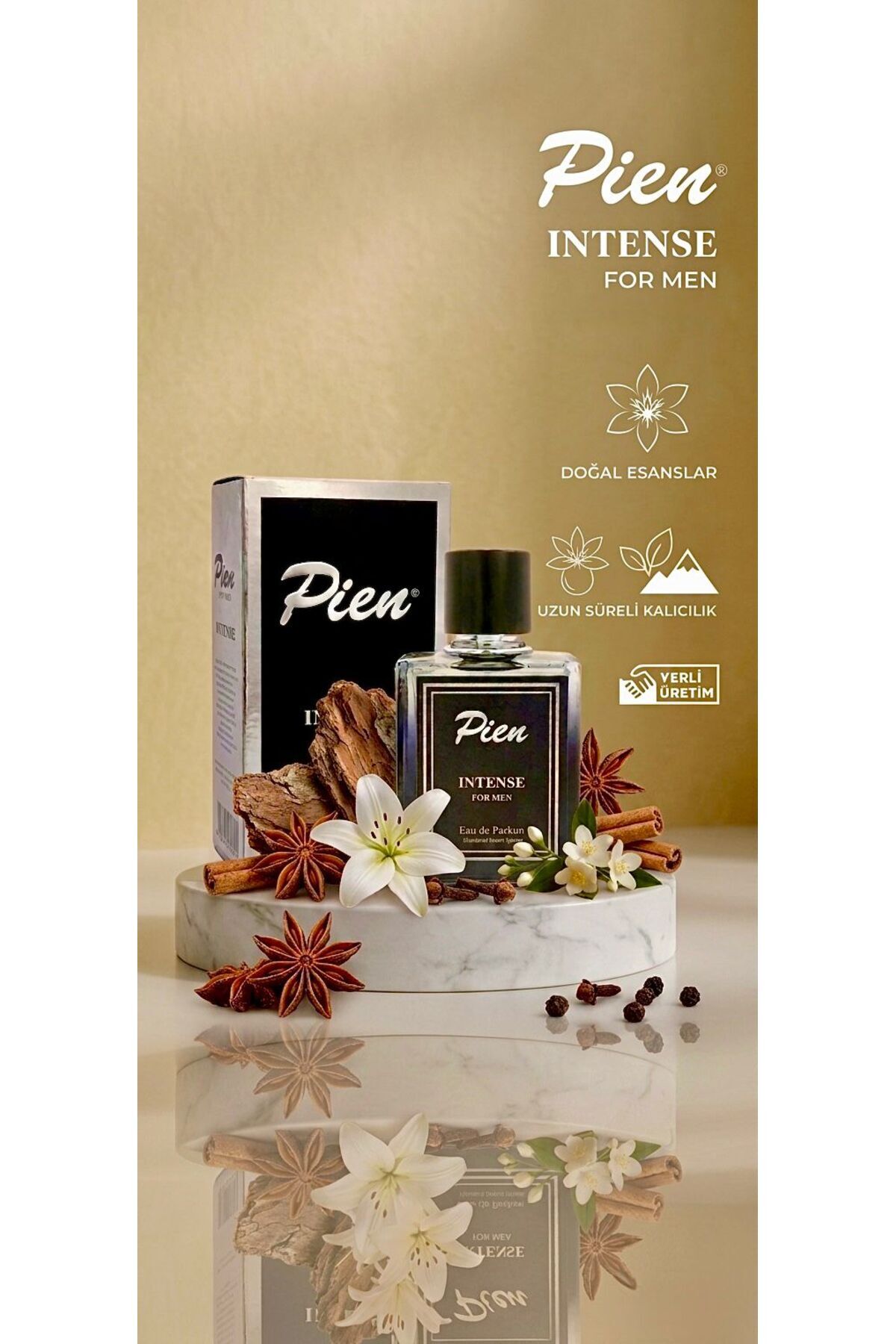 PIEN 184