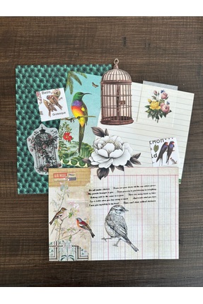theworkshop Kuş ve Botanik Sticker ve Kolaj Kiti A5