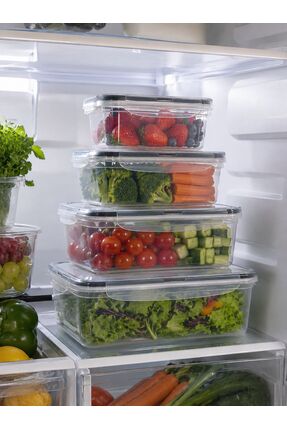 Nestora Kitchen 4'lü Fresh Box Dikdörtgen Saklama Kabı Seti 5.1 L (0.4 L + 0....