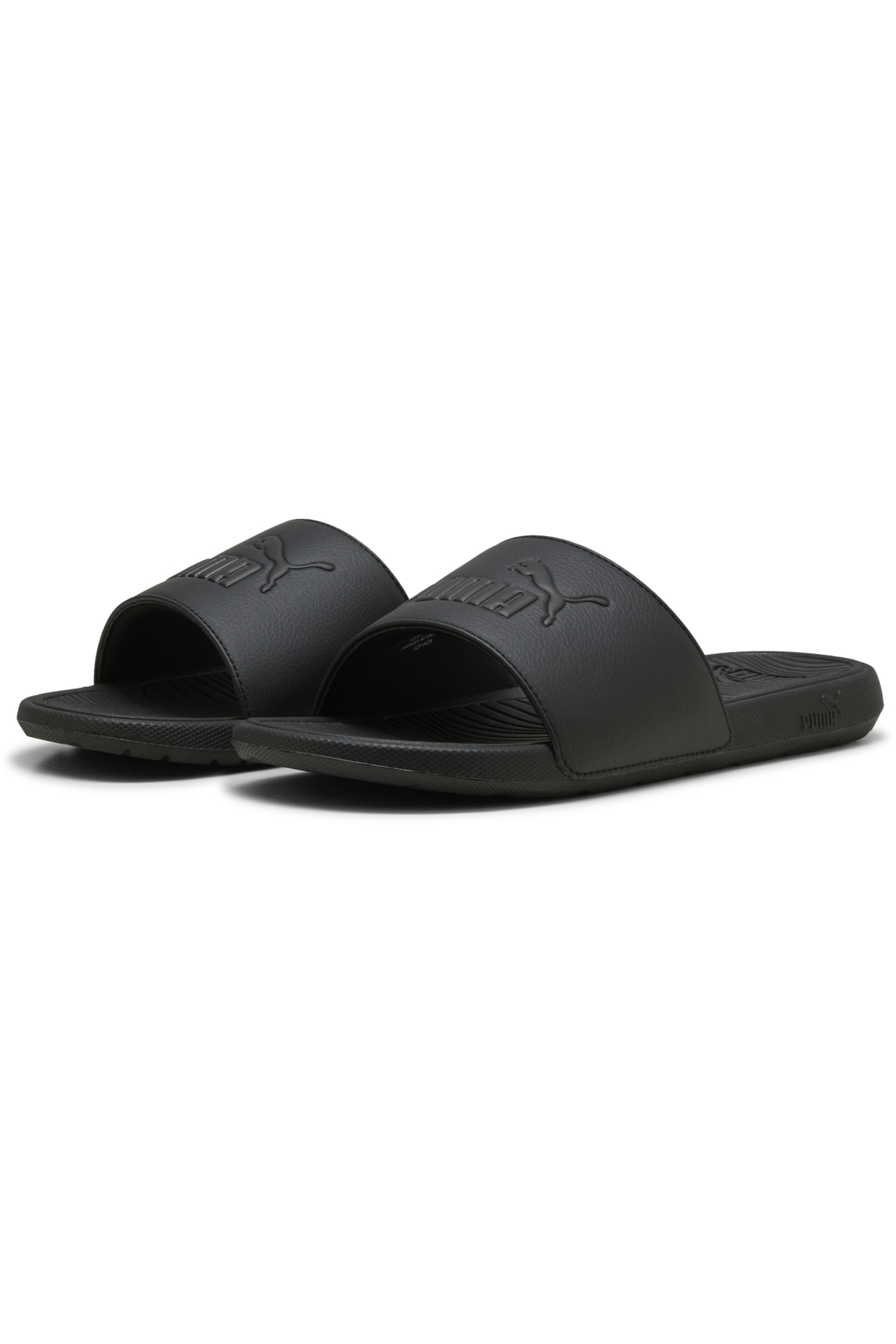 Cool Cat 2.0 Slides
