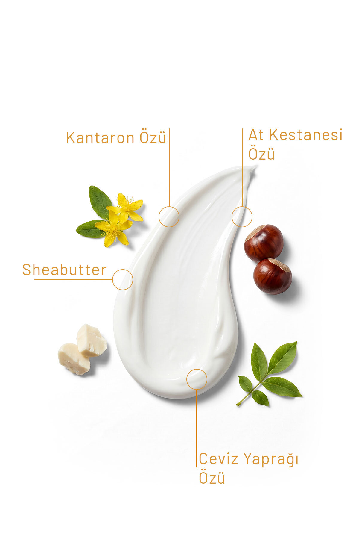 Kantaron Özlü Krem 75 Ml — KNTY — تصویر 3 از 4