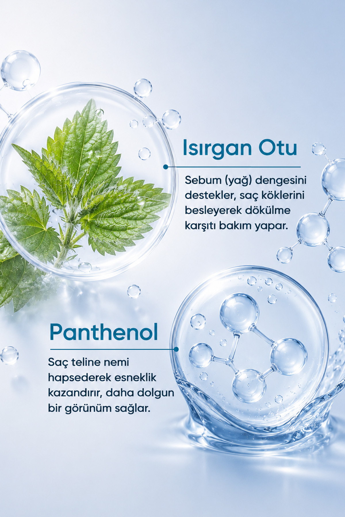 Isırgan Otu Dökülme Karşıtı & Yağ Dengeleyici Bakım Şampuanı – Yağlı Saçlar (300 ml) — 90207 — تصویر 5 از 7