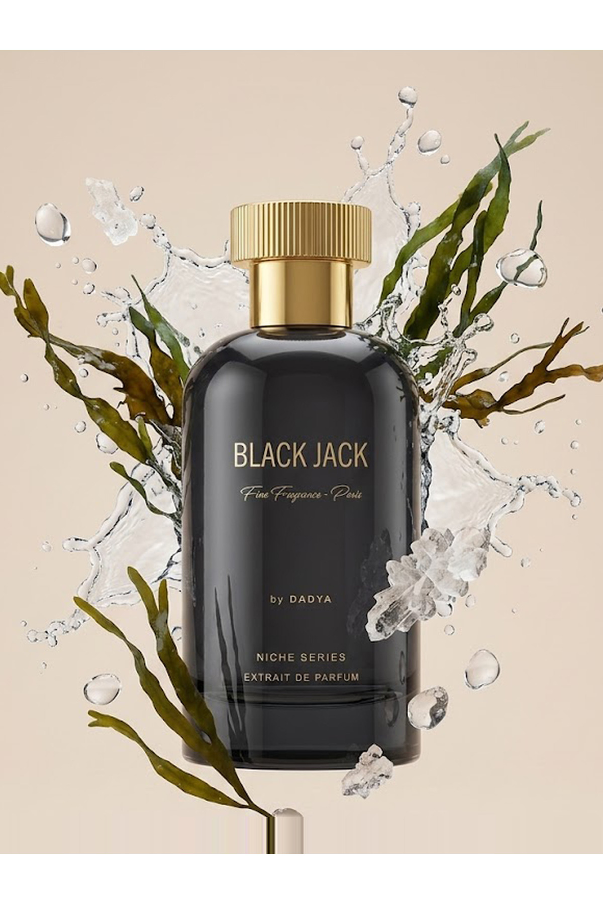 NICHE SERIES BLACK JACK