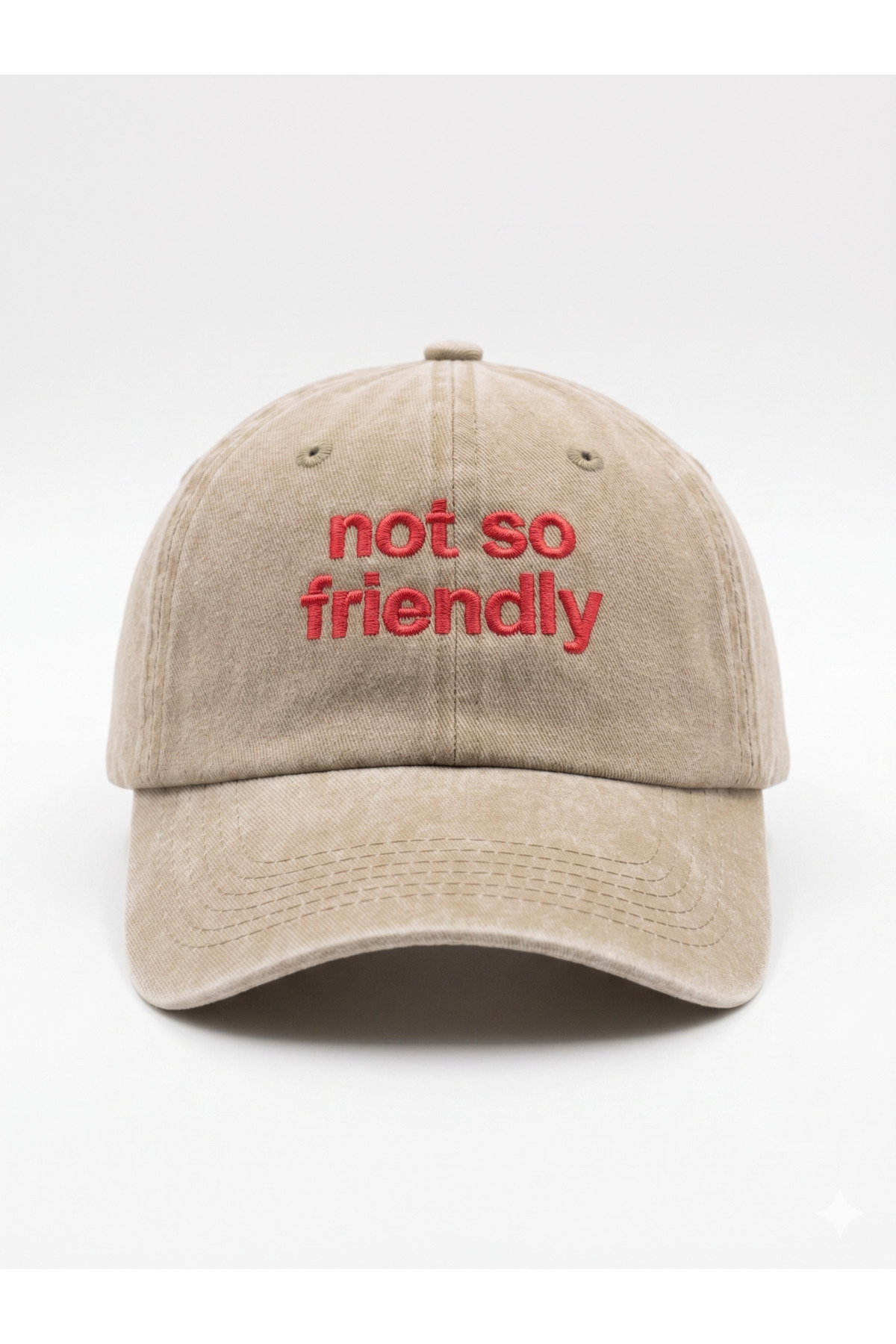 CAP BROS not so friendly Nakışlı Yıkamalı Şapka Kep