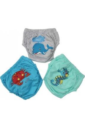 babixkids Unisex Bebek Mavi Tuvalet Eğitim Külodu Alıştıma Külodu 3lü (DESENL...