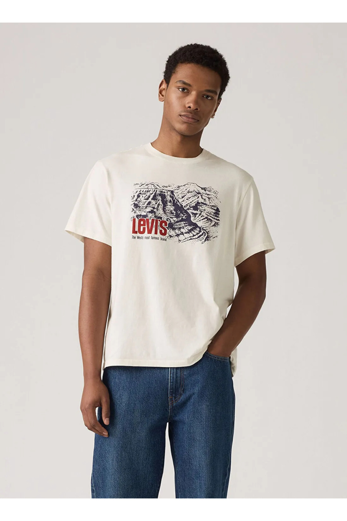 تی‌شرت طرح‌دار مردانه سفید Levis - A2082-0364 لیوایز تی شرت Levi's