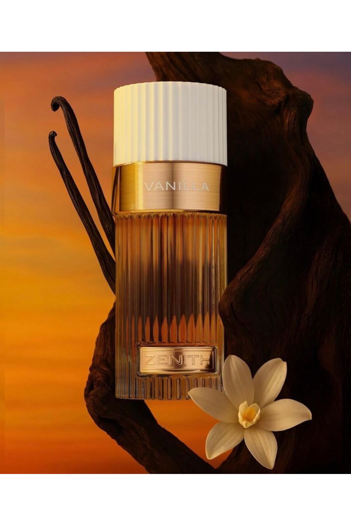 Zenix Vanilla from French Avenue
