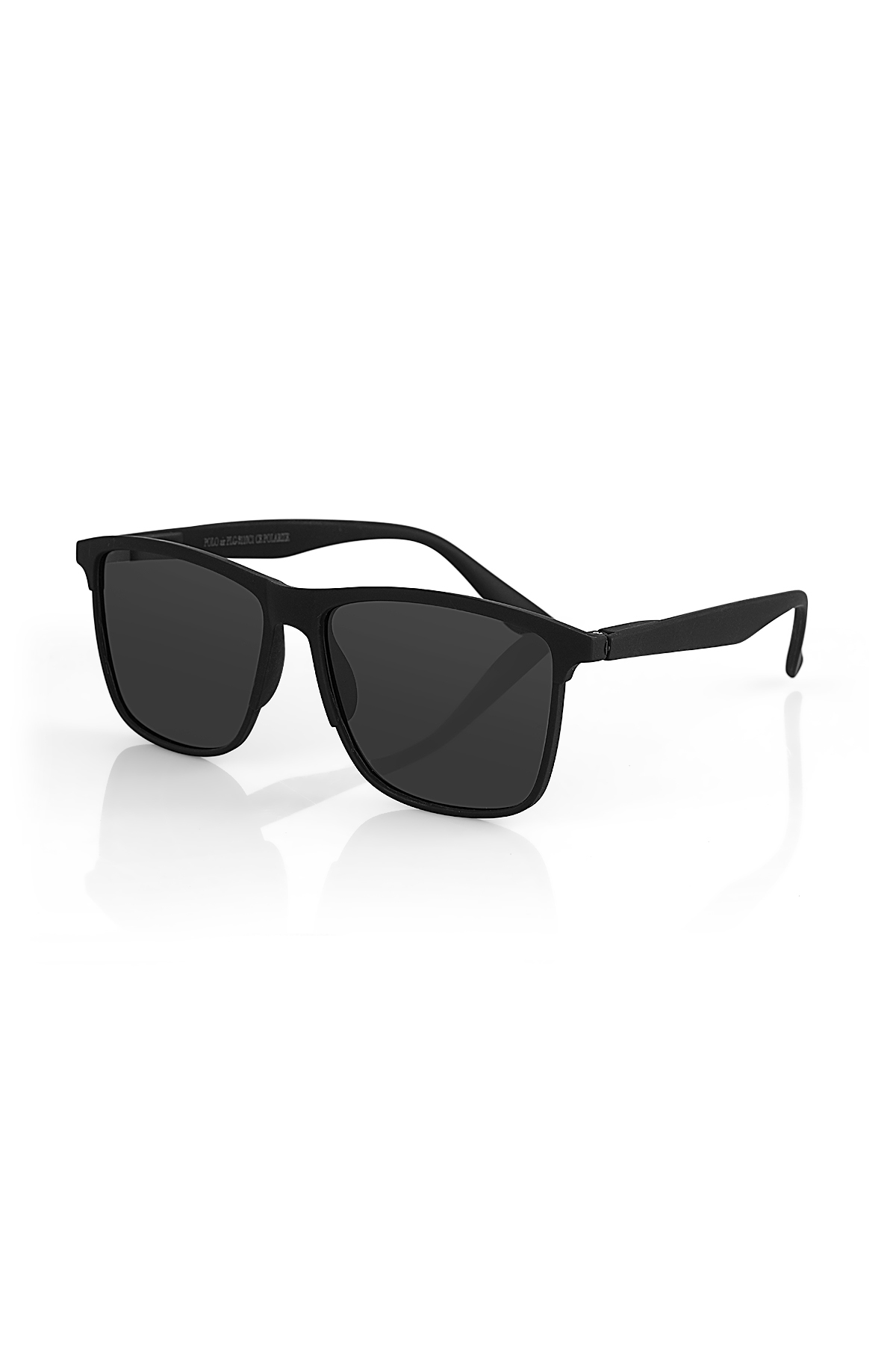 Poloair Polarize Yaylı Sap Erkek Güneş Gözlüğü Siyah Renk PLG-2110C1 görsel 4