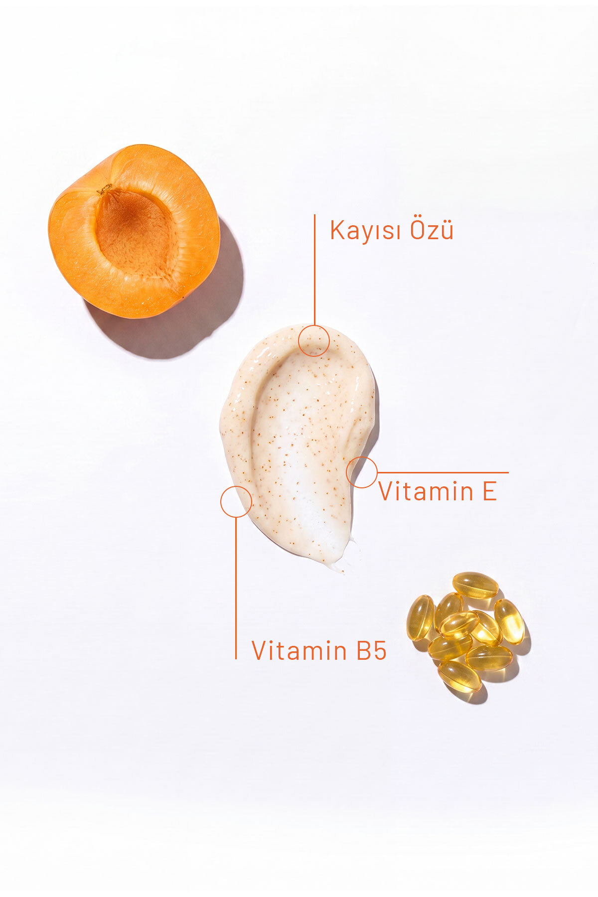 Kayısı Çekirdeği B5 ve E Vitaminli Peeling Krem 100 ml — TYC0BC6ACE1F93C572CC1D200 — تصویر 2 از 3