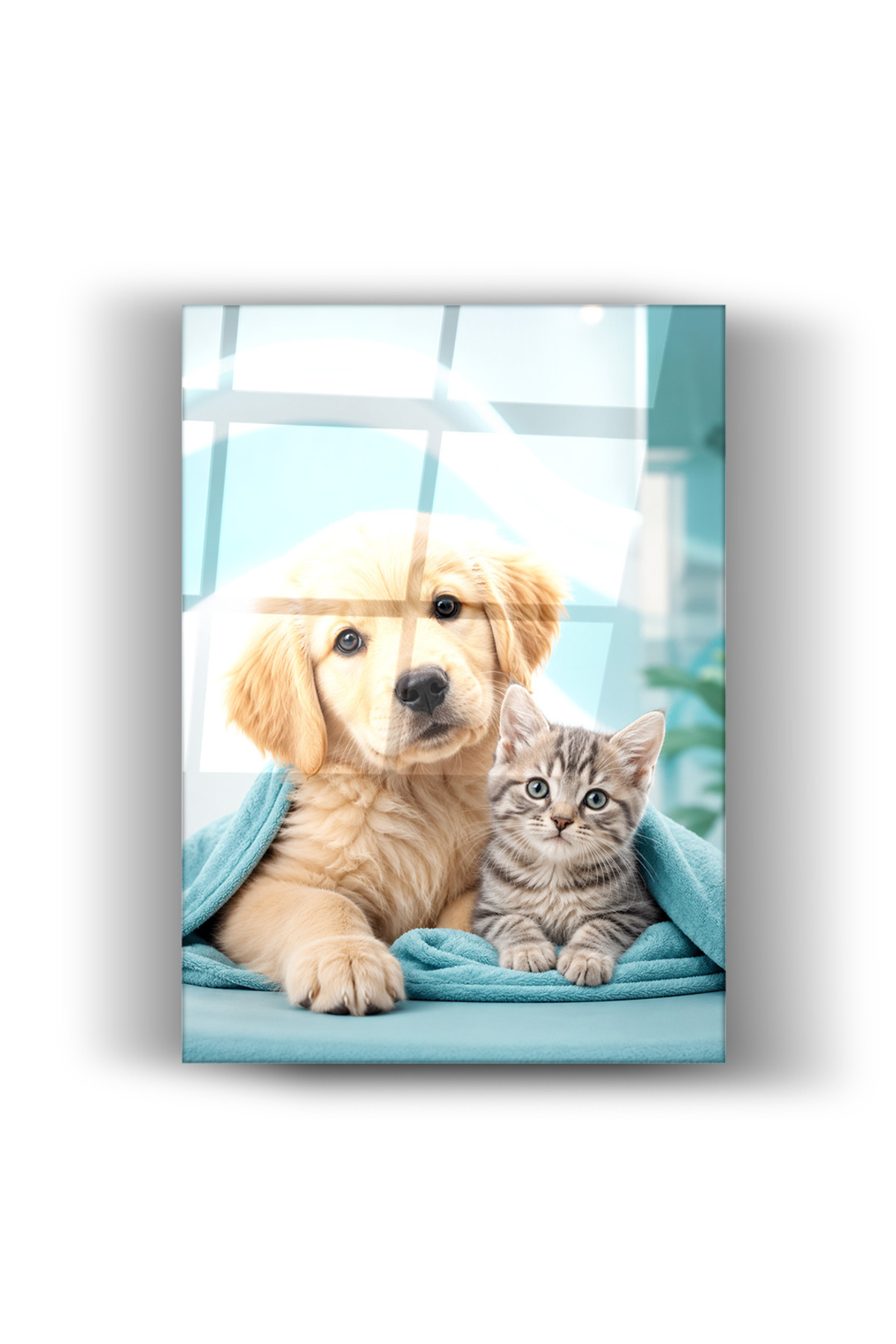 Cam Tablo Sevimli Yavru Köpek ve Kedi Hayvan Temalı Duvar Dekorasyonu