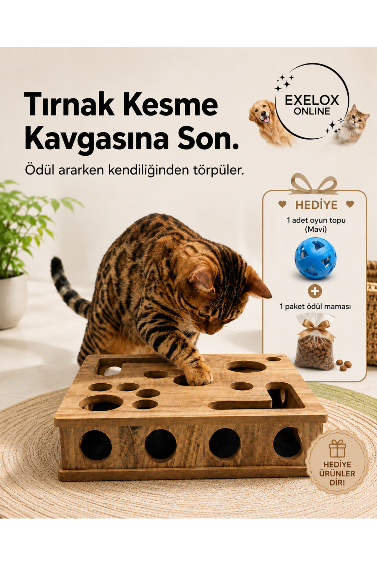 Exelox Kedi Tırnak Törpüleyen Tırmalama ve Oyun Kutusu Ahşap Kedi Zeka Oyuncağı Ödül Mamalı Hediyeli