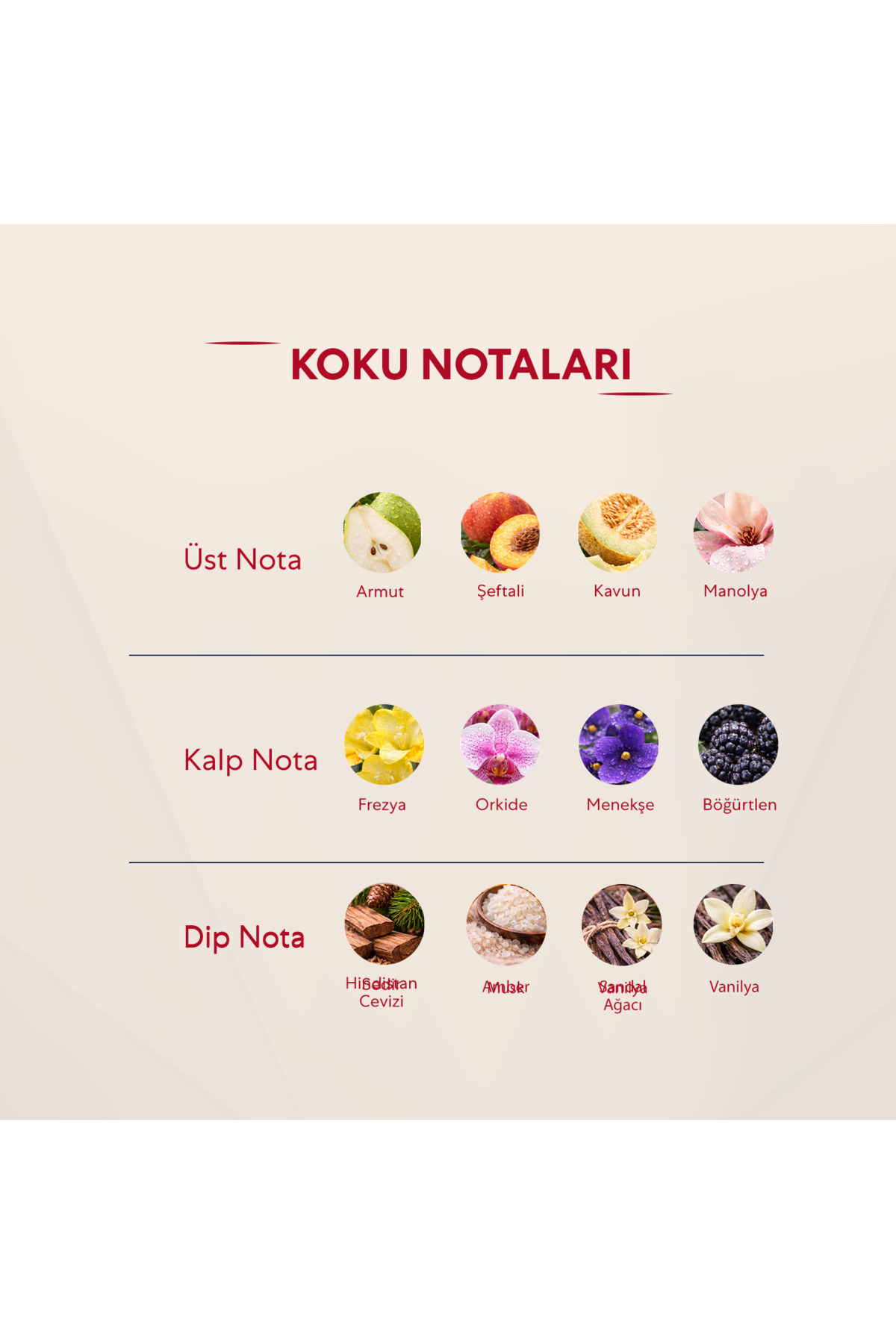 215 Kadın 50 Ml Parfüm Edp Floral (2 Adet) 50 ml — 21012043 — تصویر 2 از 3