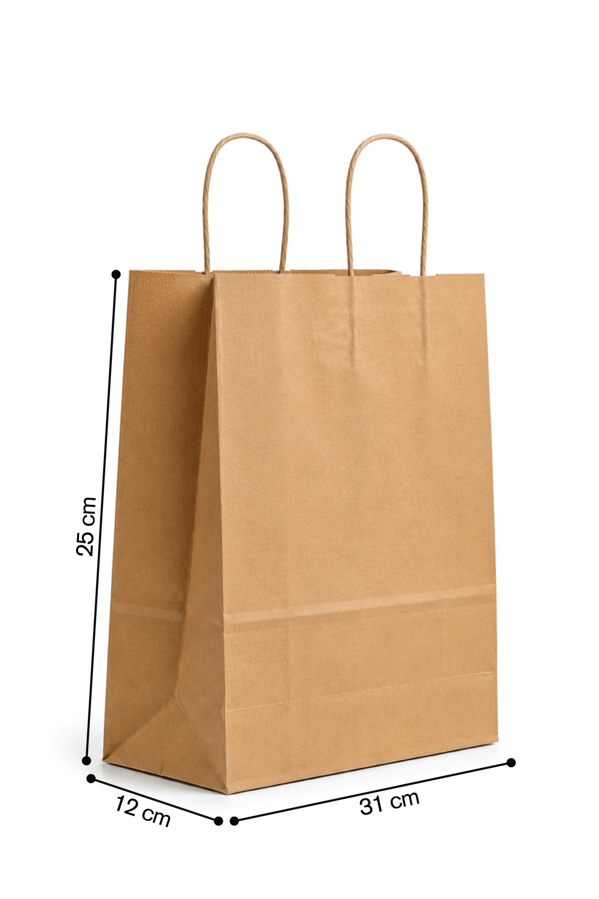 Twist Handle Paper Bag Bag 25x12x31 Cm (25 Pieces)