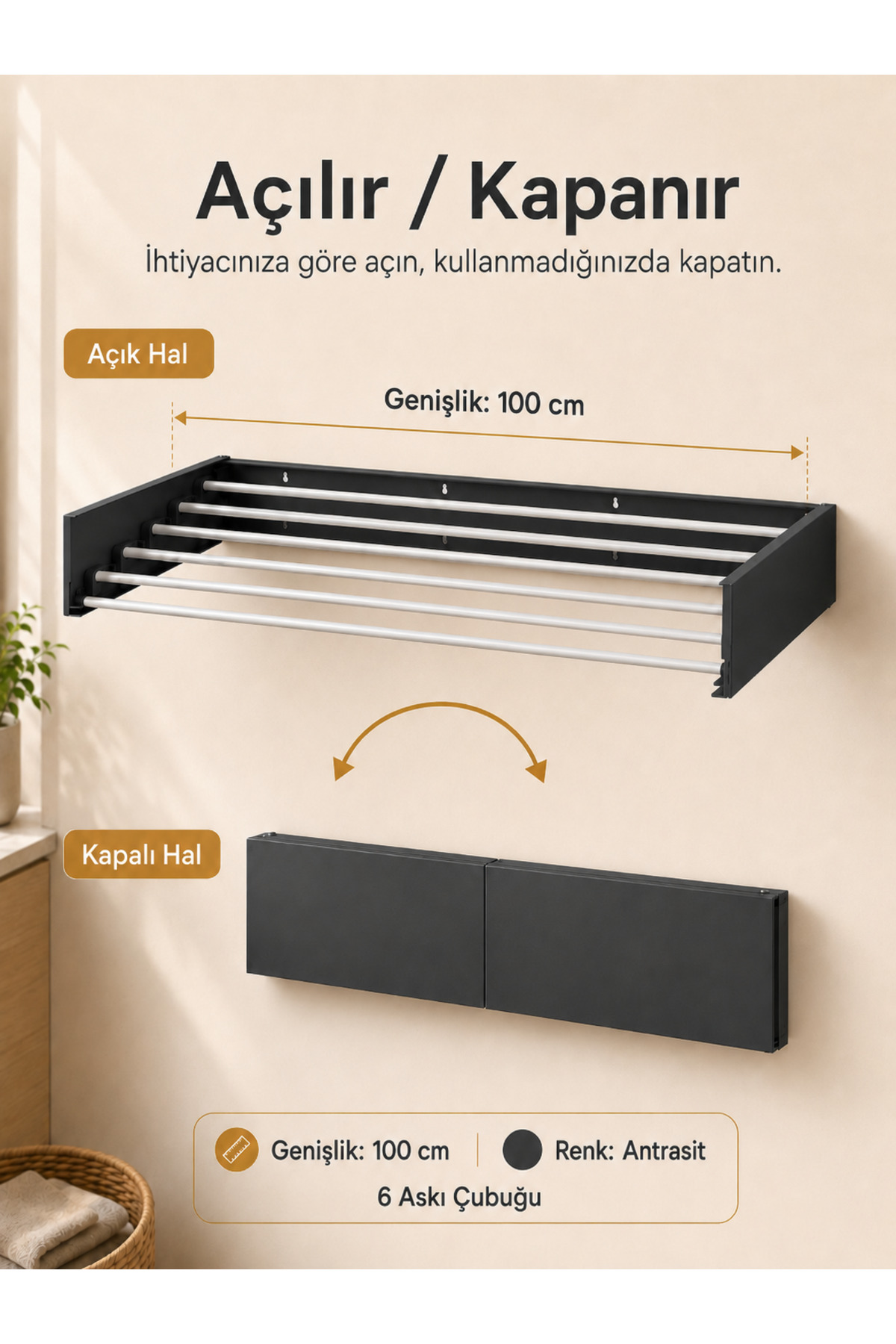 Belize 100 cm Design Laundry Hanger Wall Mounted Foldable Laundry Rack Anthracite
