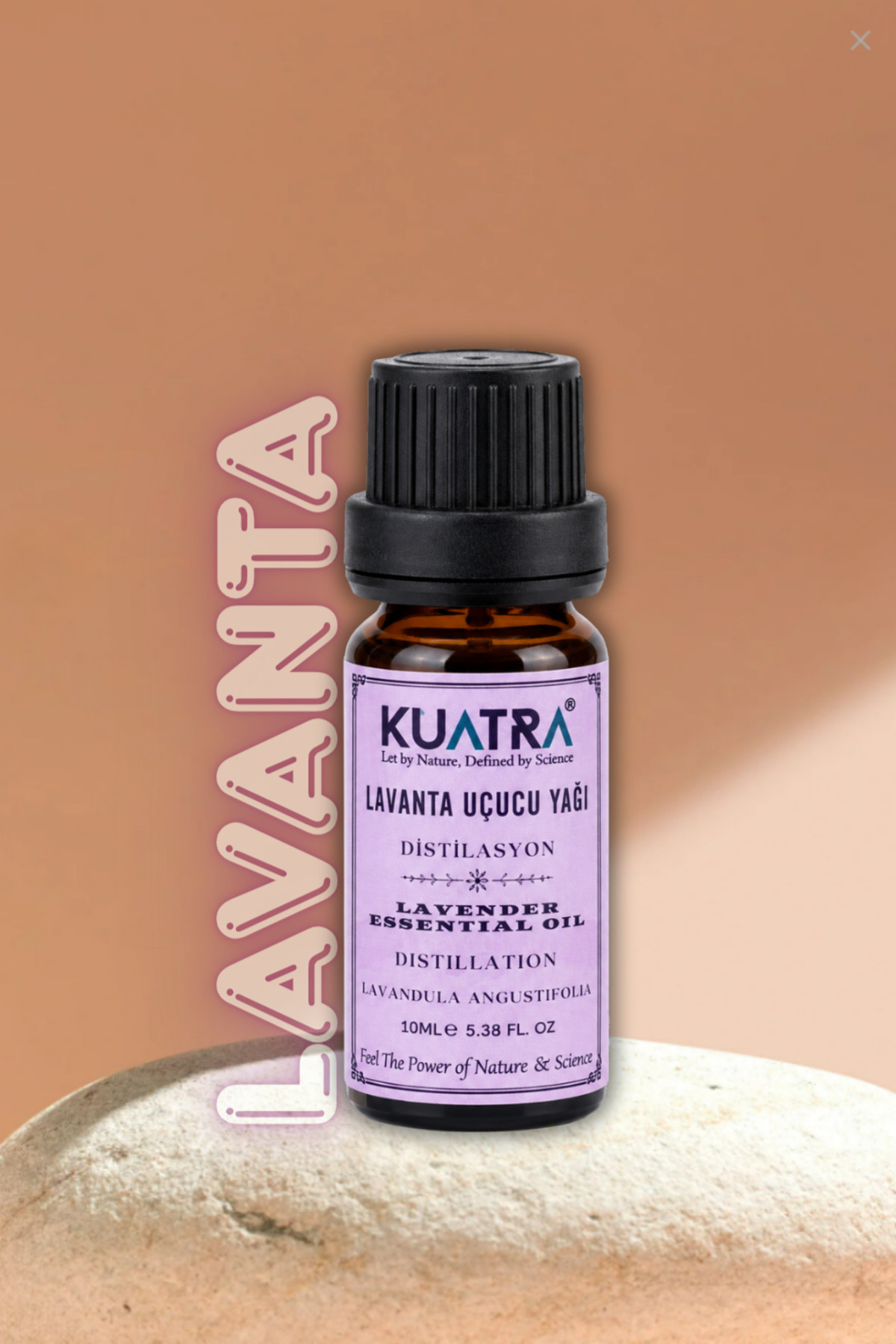 Lavanta Uçucu Yağı (lavandula Angustifolia) — lavanta 10ml — تصویر 5 از 8