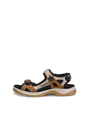 Ecco Offroad