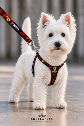 Angelapets KÖPEK GÖĞÜS TASMASI VE GEZDİRME KAYIŞI SETİ