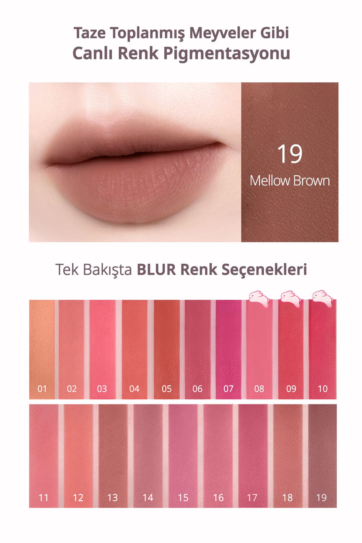 Gün Boyu Kalıcı Pürüzsüz Matlık Sunan Tint Over Blur Tint (19 Mellow Brown) — قهوه‌ای 111151 — تصویر 4 از 9