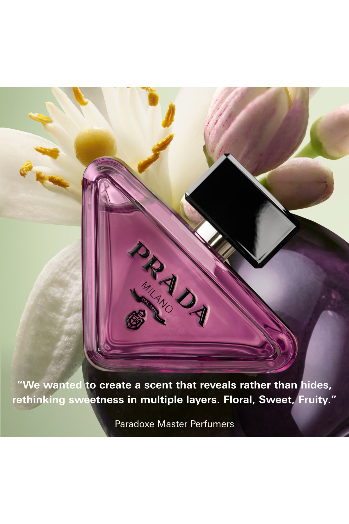 عطر زنانه پارادوکس سوئیت شیمی 100 میلی لیتر 3614274488203