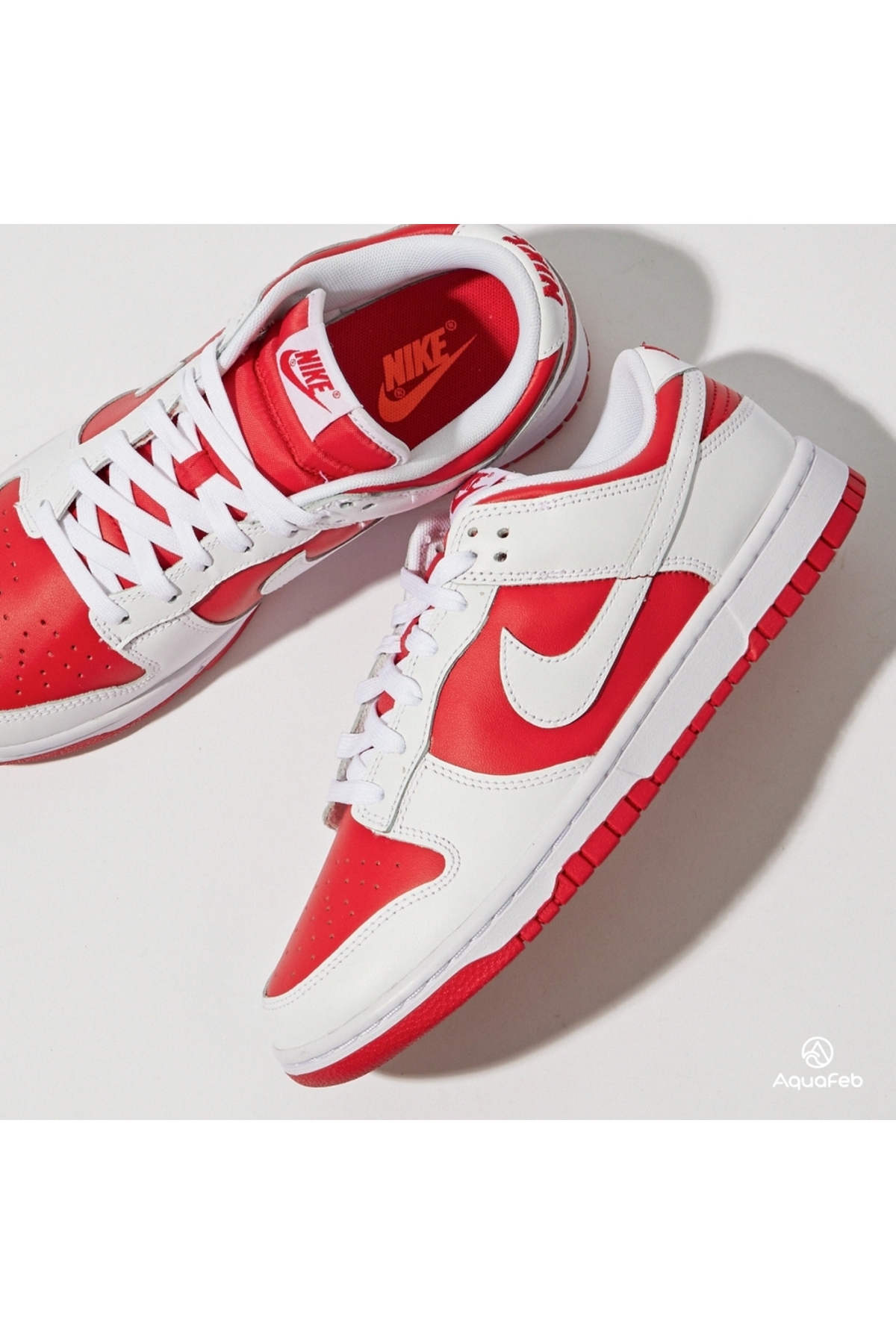 Nike Dunk Low Retro 