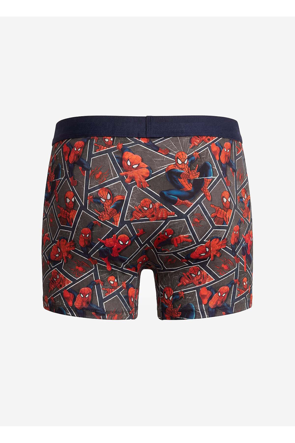 PAULMARK Erkek Baskılı Boxer görsel 2
