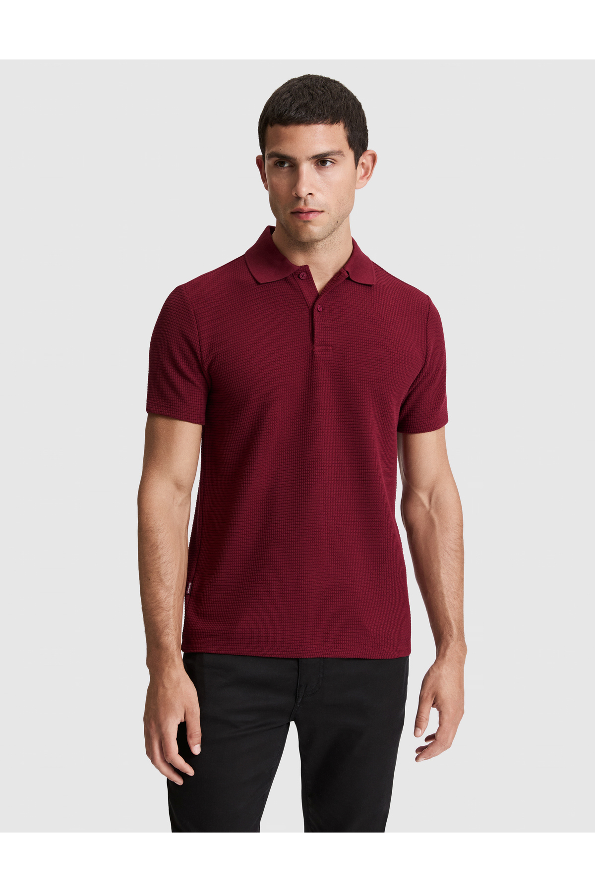تی‌شرت یقه گرد دکمه‌دار زرشکی معمولی 50327875-VR014 پیر کاردین پولوشرت Pierre Cardin