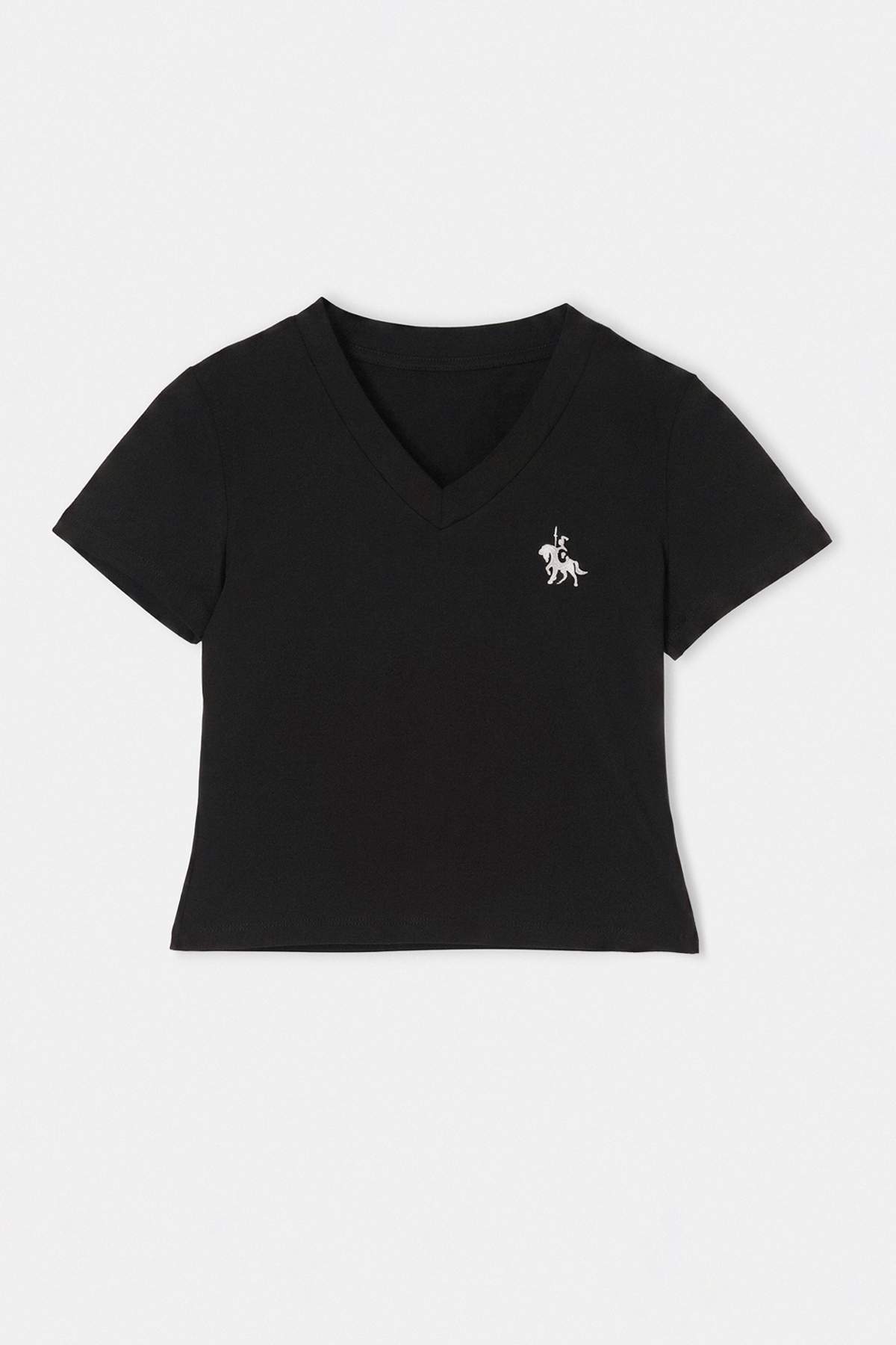 Trendyolmilla Siyah Nakışlı / İşlemeli Fitted V Yaka Kısa Crop Yumuşak Örme T-Shirt TWOSS26TS00363