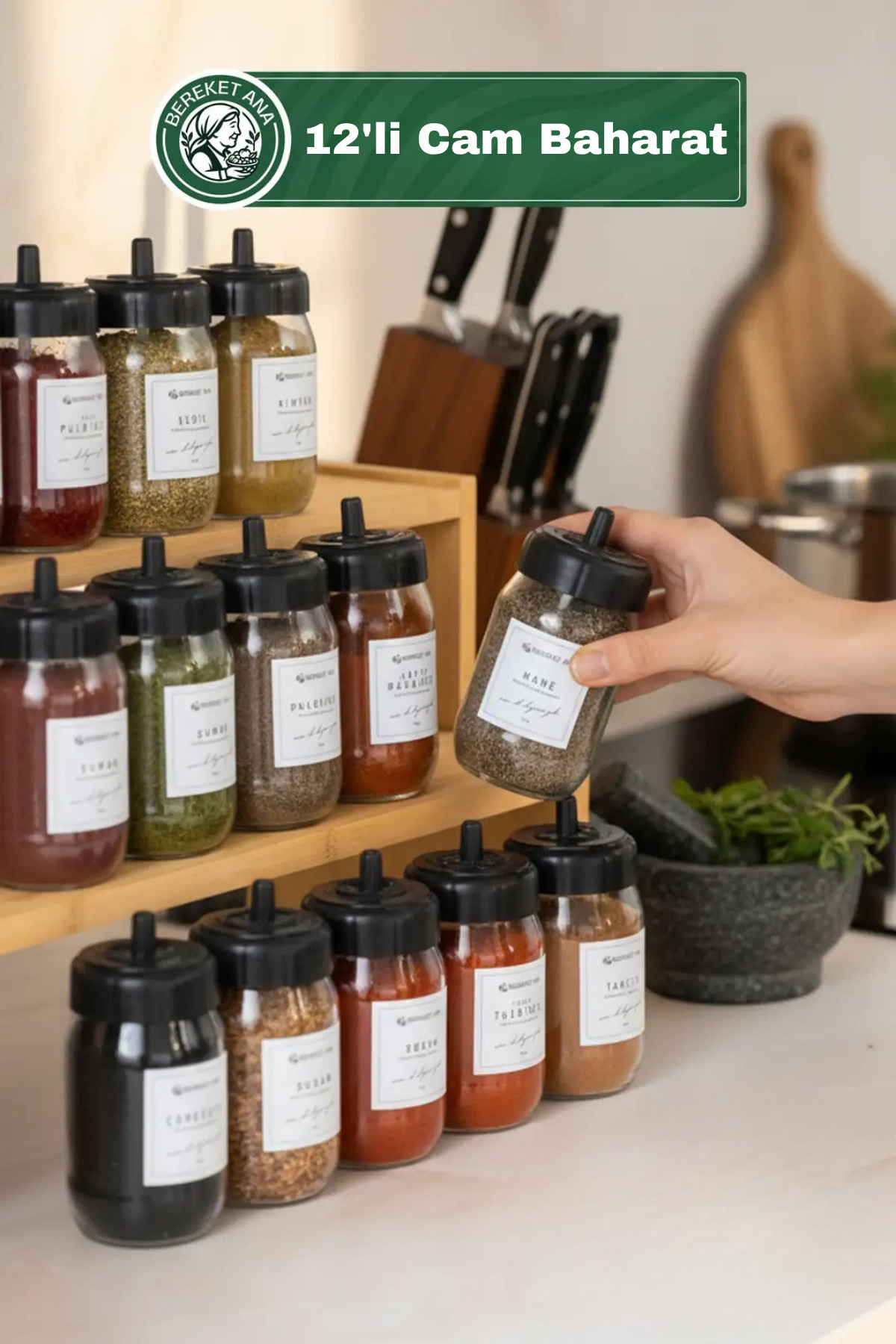 Spice Set of 12