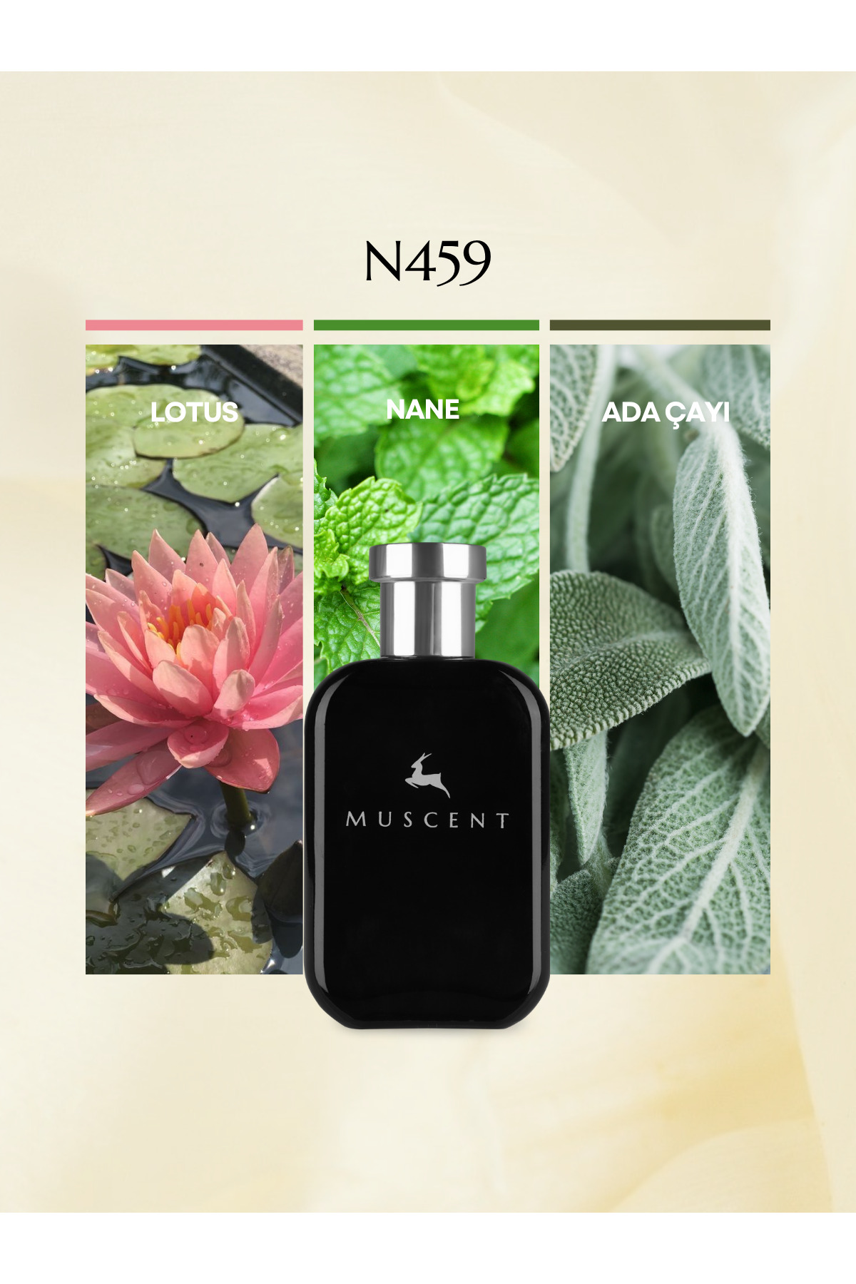 ナガセ　オートリフター2本&スペシャルおまけ付き MUSCENT N459 Herbal Aqua 50 ml. - Fiyatı, Yorumları