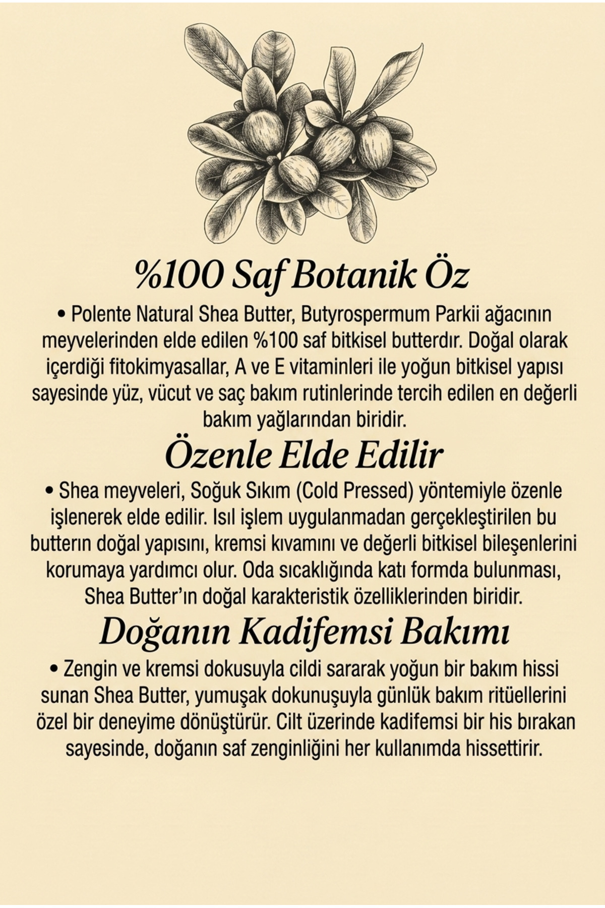Shea Butter - Soğuk Sıkım (50 Ml) — Shea Yağı Cam Kavanoz — تصویر 4 از 5