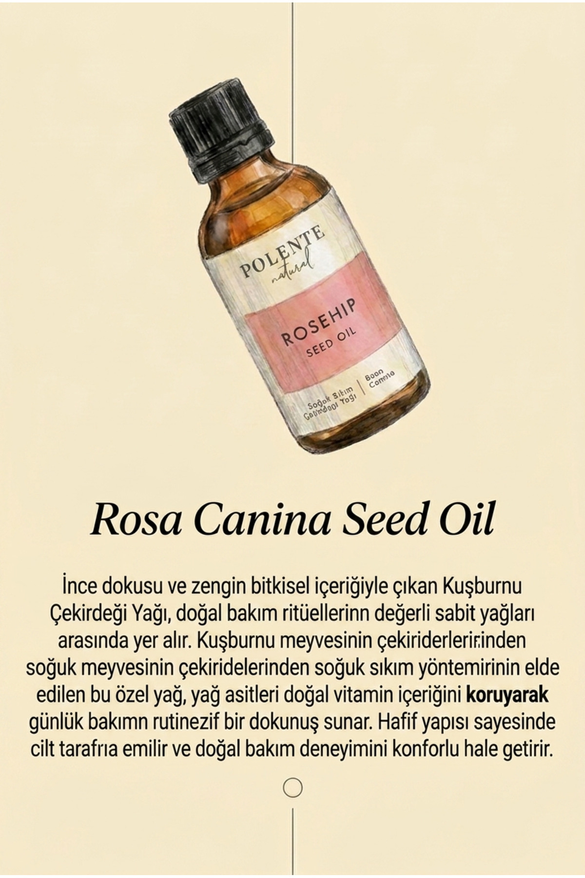 Kuşburnu Çekirdeği Yağı - Soğuk Sıkım 50 ml — Rosa Canina Seed Oil — تصویر 3 از 5