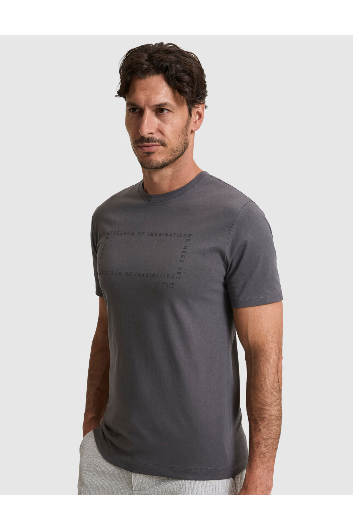 Pierre Cardin Koyu Gri Regular Fit %100 Pamuk Bisiklet Yaka Tişört 50327871-VR080 görsel 3