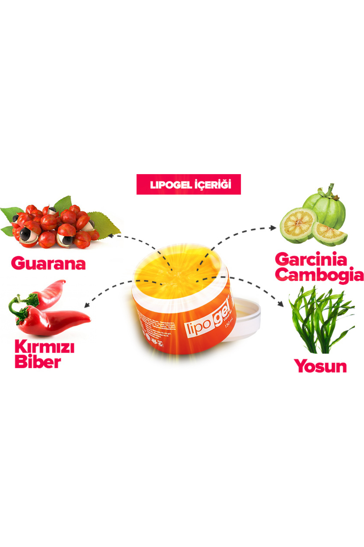 Lipogel Vücut Losyon Kremleri — GU-EYF-18620-VIALIVA01 — تصویر 2 از 3