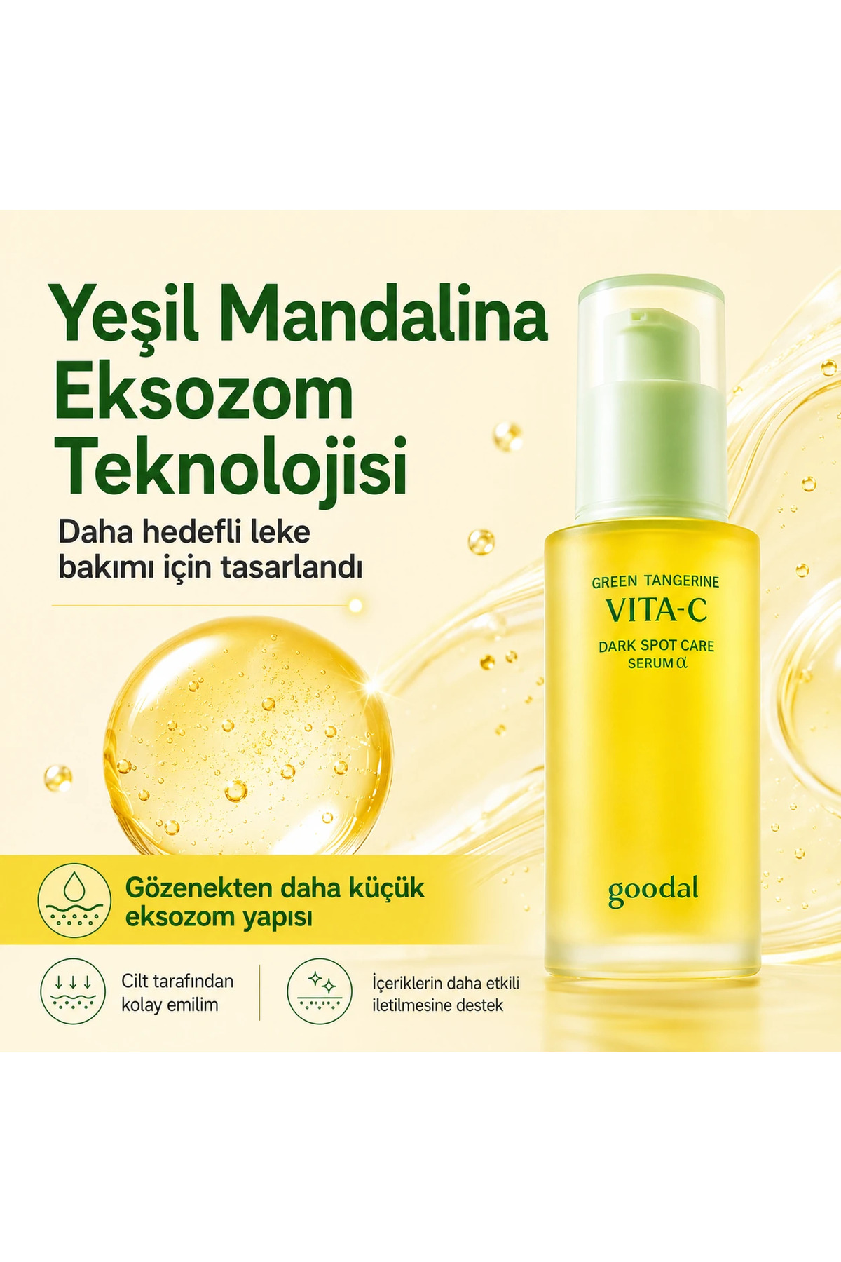 سرم مراقبت از پوست تیره نارنگی سبز Vita C α - سرم روشن کننده و ضد لک با عصاره نارنگی سبز — YPD-GDL00478 — تصویر 3 از 5