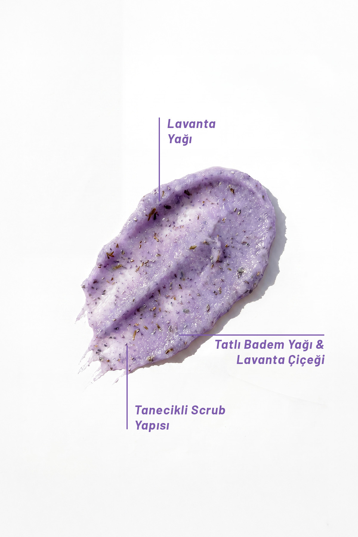 Lavanta Yağlı Bitki Tanecikli Scrub 250 Ml — SC 1304 — تصویر 3 از 4