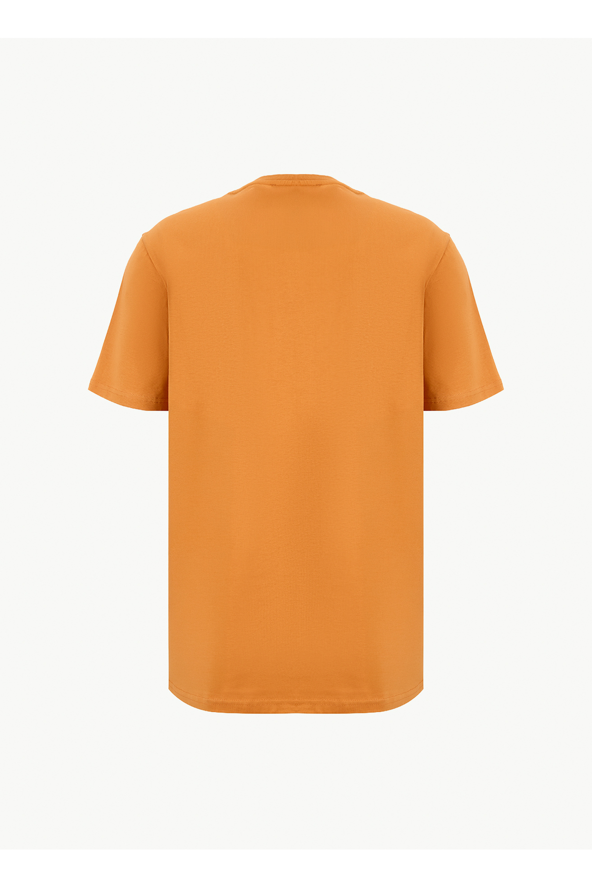 Discovery Expedition Turuncu Erkek Bisiklet Yaka Relaxed Fit T-Shirt D6SM-TST3759 görsel 7