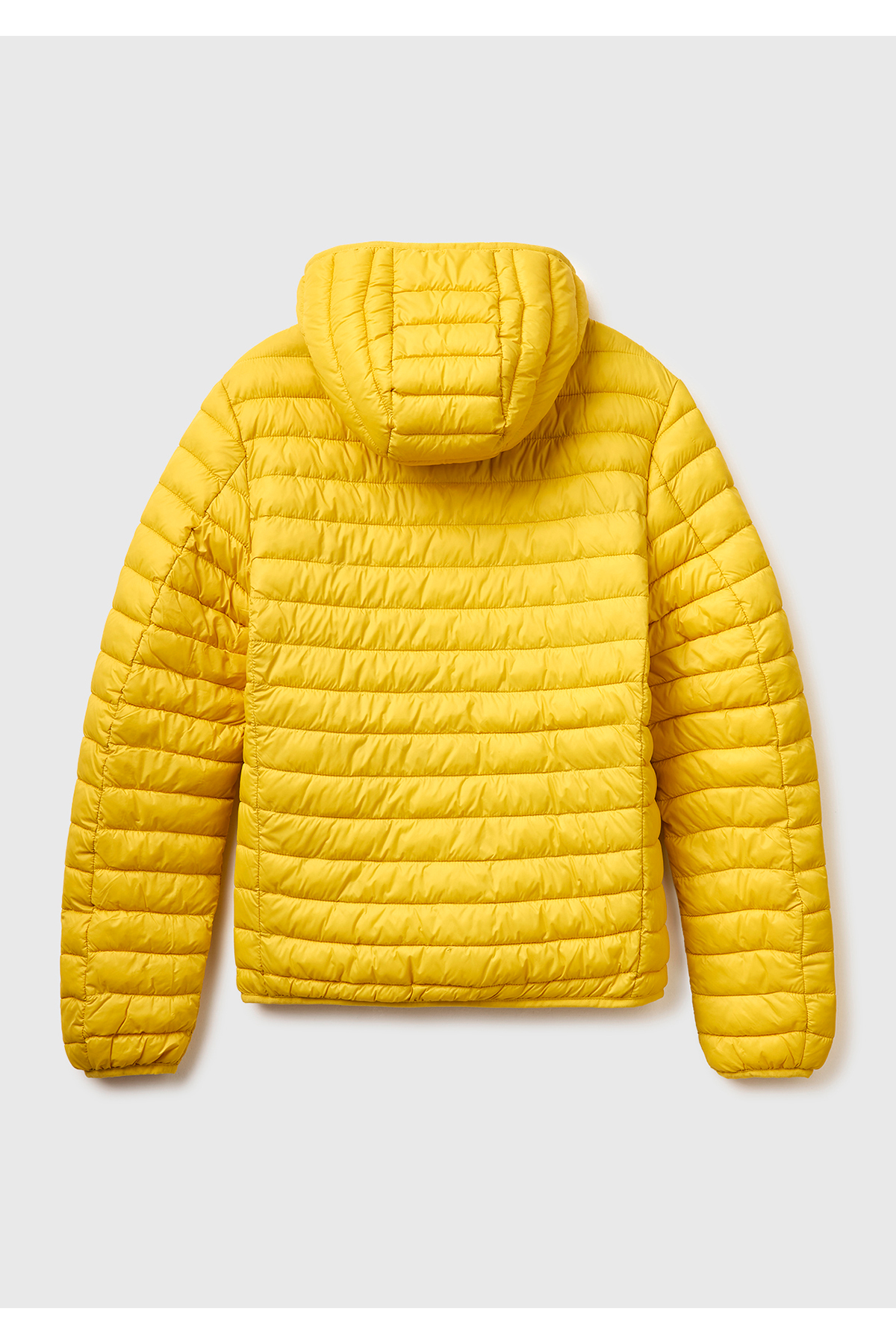 Erkek Sarı Polyester Dolgulu Regular Fit Kapüşonlu Puffer Mont — زرد 126P2TWDUN06I — تصویر 2 از 3
