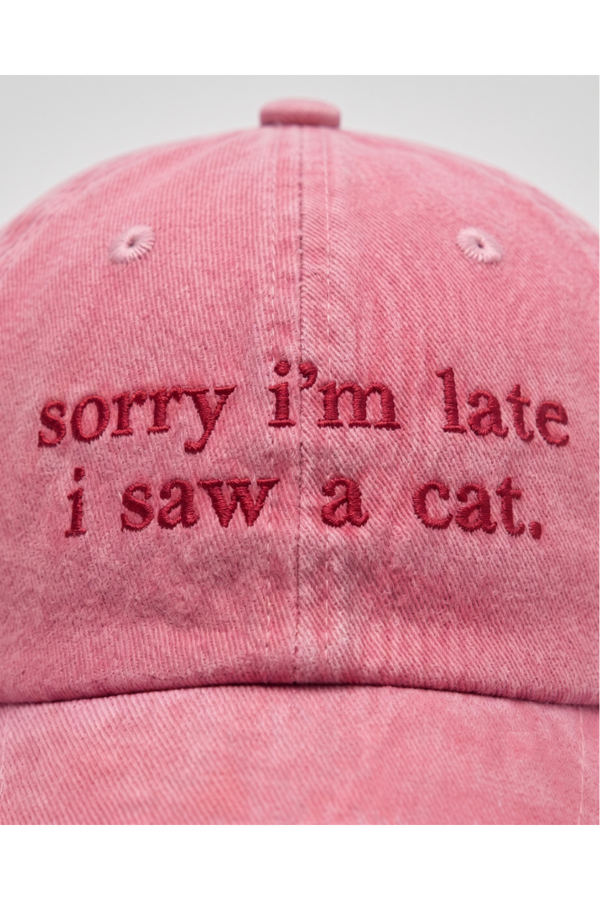 Tresore ''Sorry I'm Late I Saw A Cat'' Nakışlı Yıkamalı Şapka / Kedi Nakışlı Washed Cap görsel 3