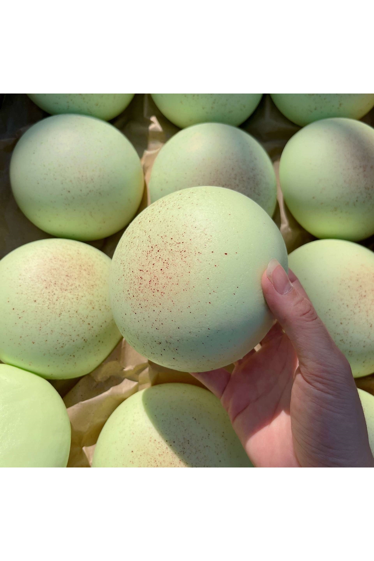 Choice light green Daifuku Mochi Squishy Stress Toy, Slow Rising Squeeze Toy, Sensory Decompression Fidget