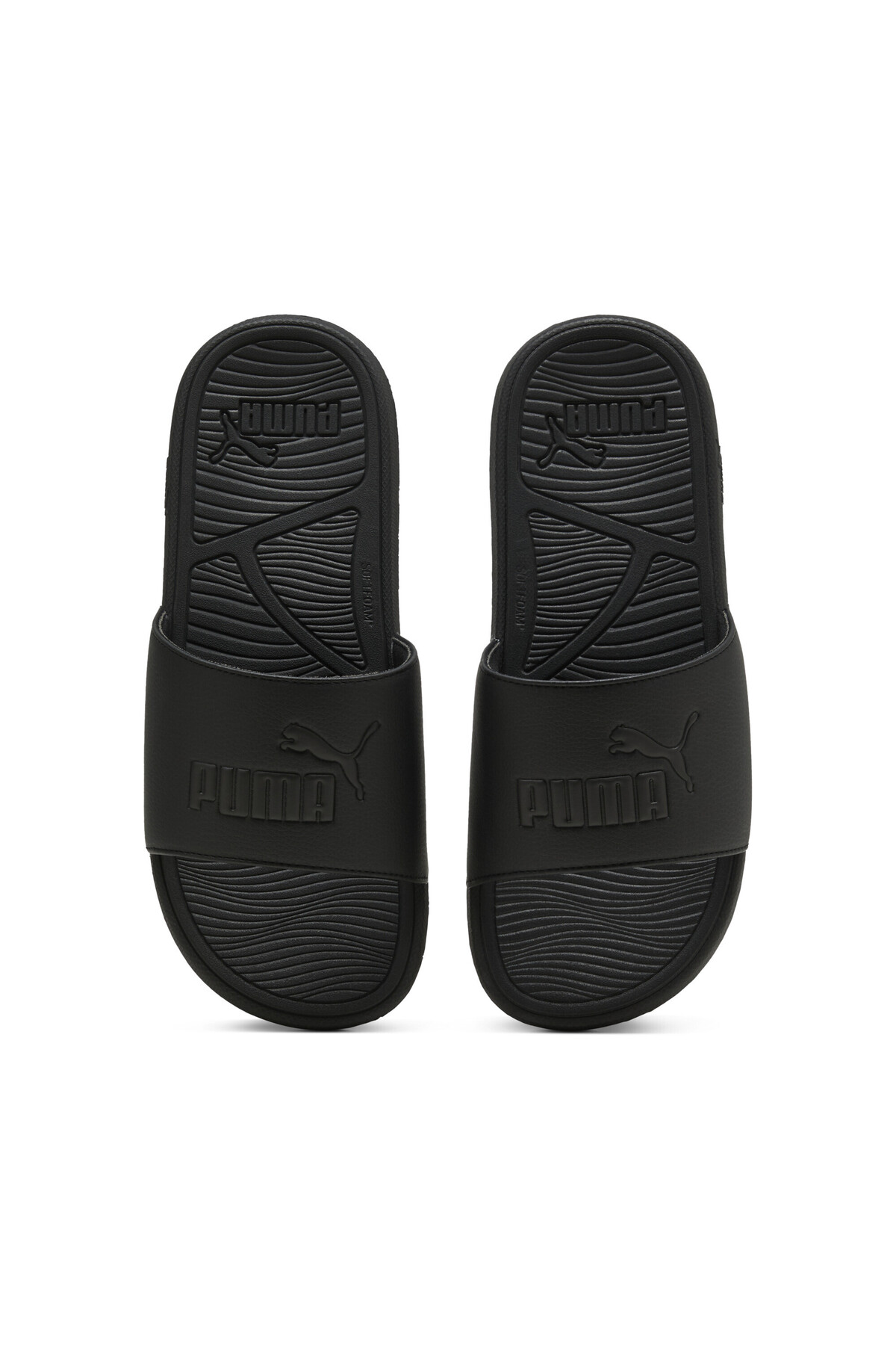 Cool Cat 2.0 Slides