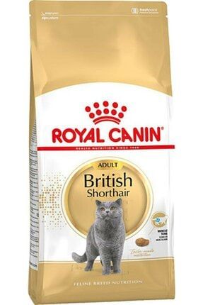 British Shorthair Adult Kedi Kuru Maması 2 kg Orijinal 200020041691