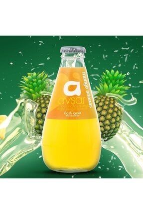 24 Adet Mango & Ananas 200 ml 4*6-AVŞ003