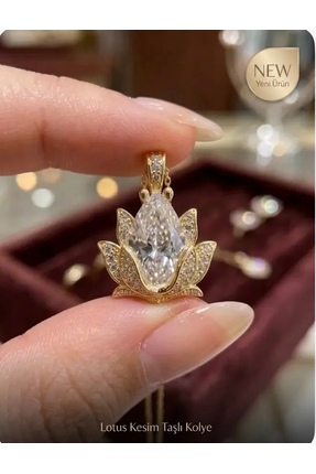 SARIASLAN Işıklı Kutuda Yeni Lotus Çiçeği Gümüş Kolye 14 Ayar Altın Suyu