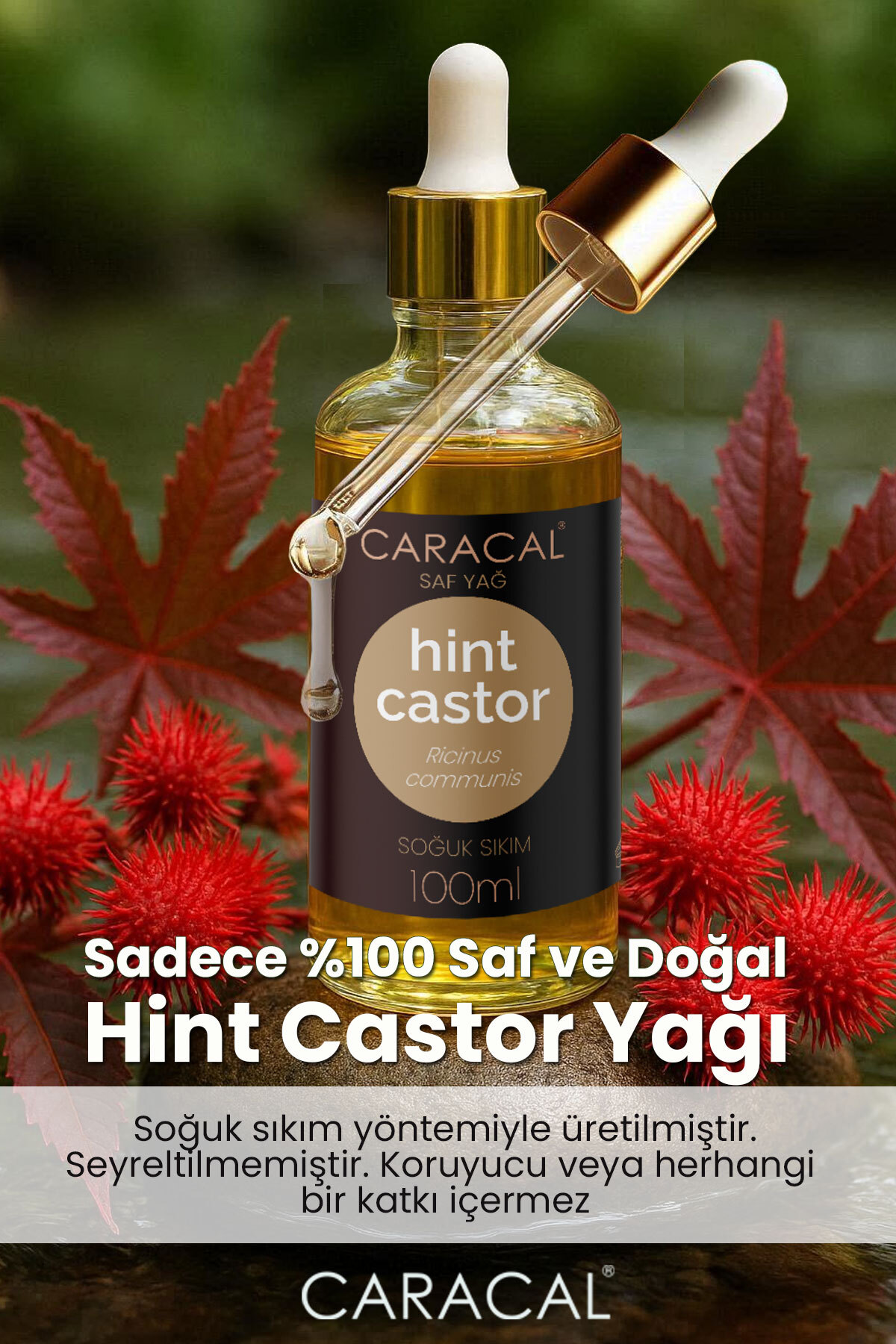 100ml Saf Hint Yağı Castor Yağı Soğuk Sıkım Kastor Yağı Ricinus Communis Doğal Katkısız Hekzansız — HİNT YAĞI KAŞ KİRPİK SAÇ BAKIM CASTOR — تصویر 2 از 3