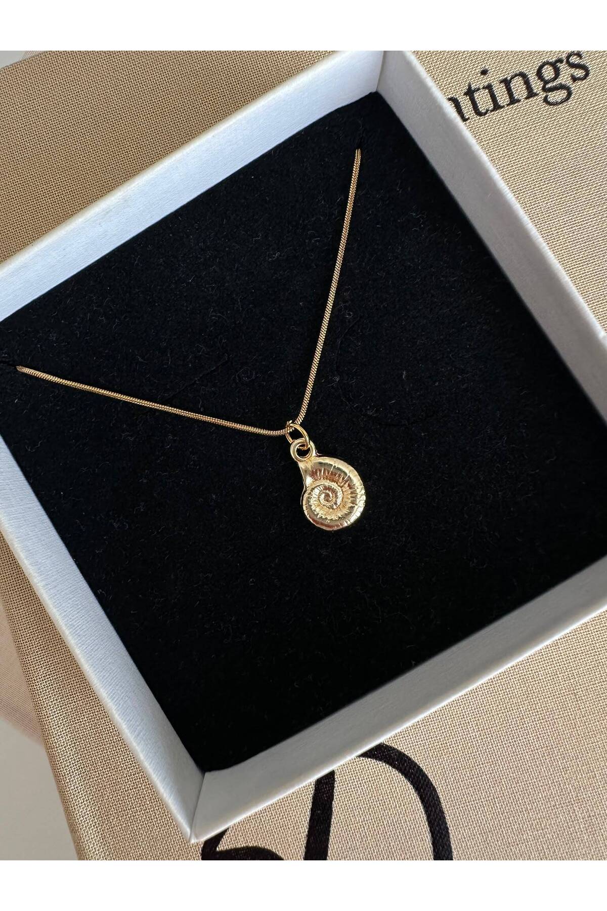 Mini Deniz Kabuğu Charm Çelik Zincirli 45 cm Yazlık Gold Kolye - Detay Görseli 2