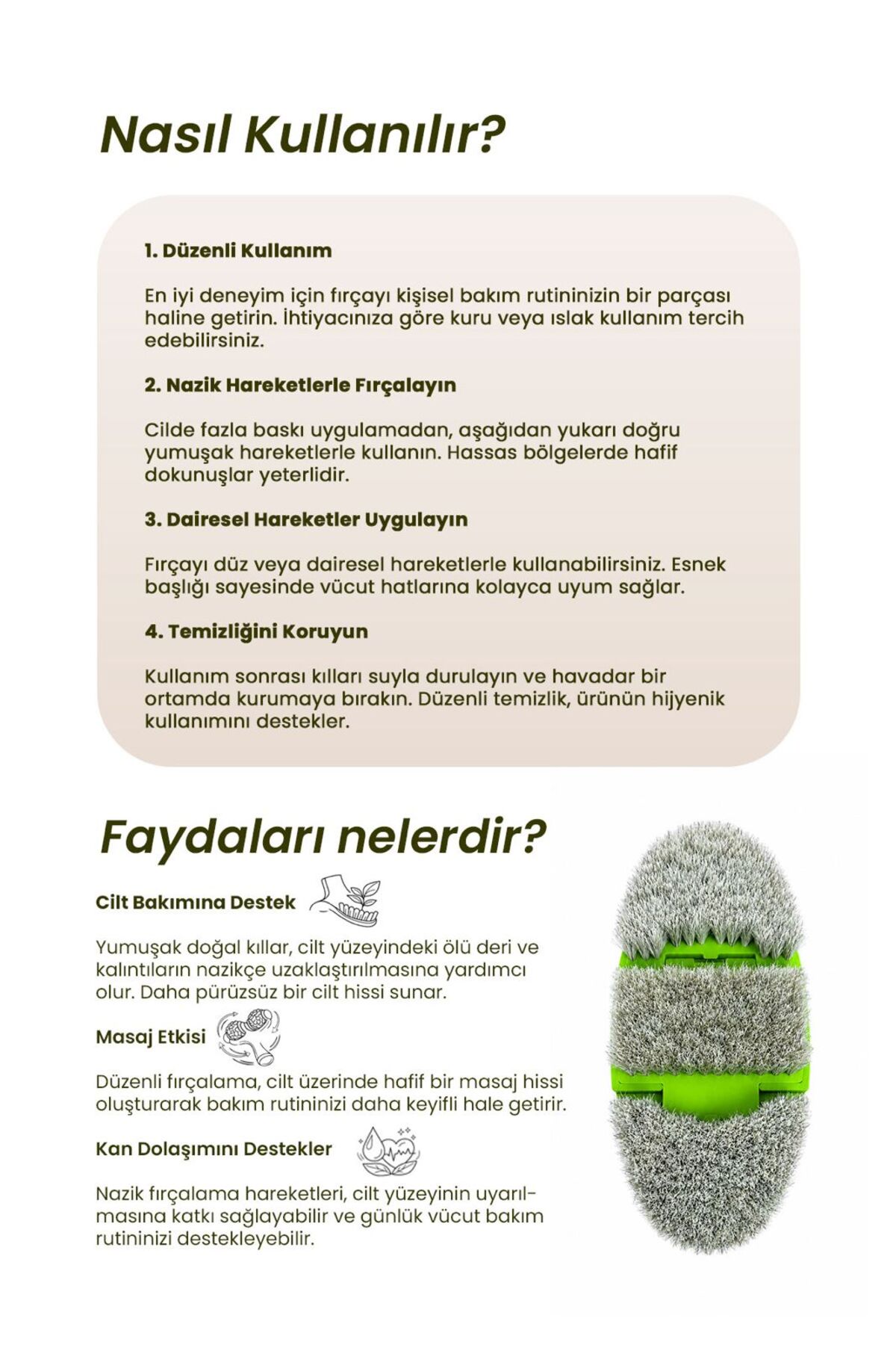 %100 At Kılı Selülit Fırçası Yeşil Renk — SLTFR003 — تصویر 3 از 3